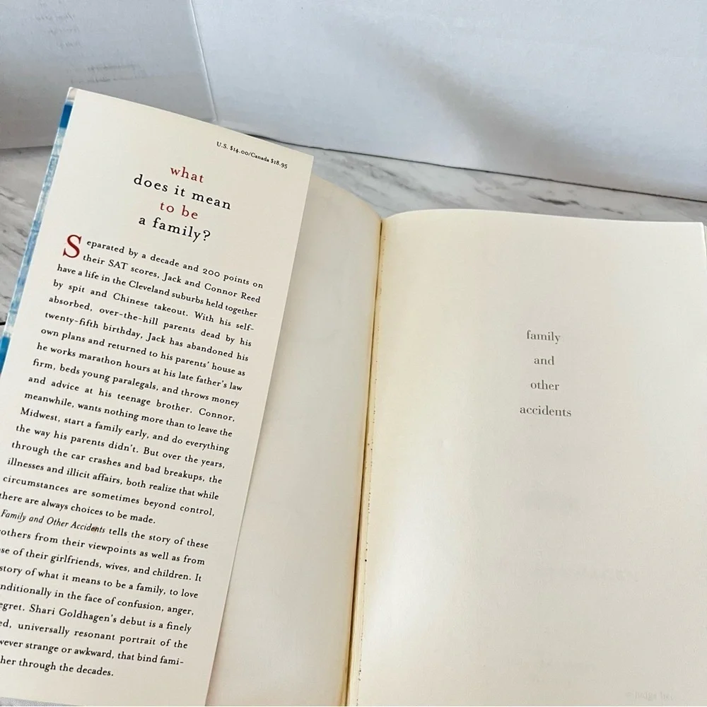 Family and Other Accidents: A Novel Hardcover Shari Goldhagen